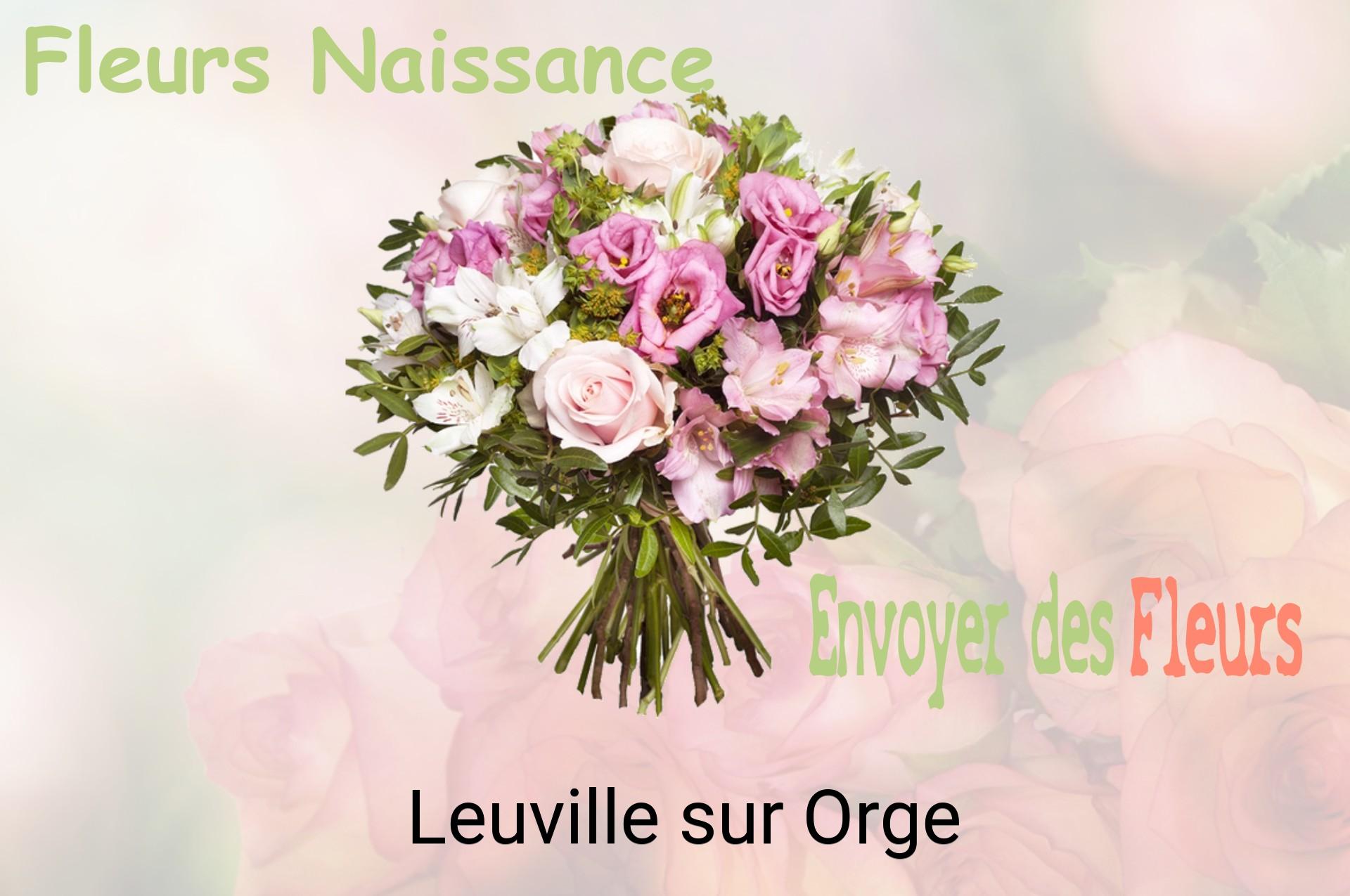 Bouquet de fleurs de naissance livré à Leuville-sur-Orge